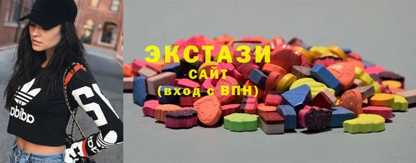 МДПВ Краснослободск