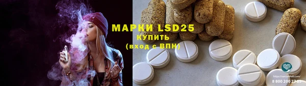 шишки Краснотурьинск