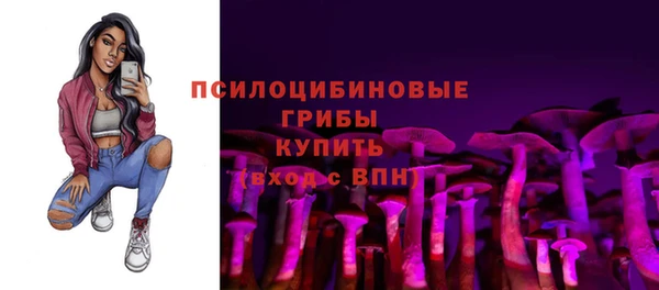 ECSTASY Балахна