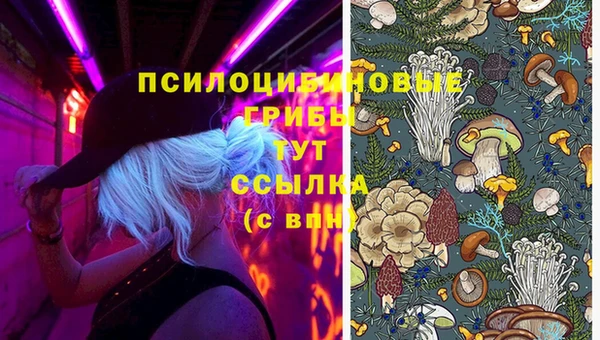 шишки Краснотурьинск