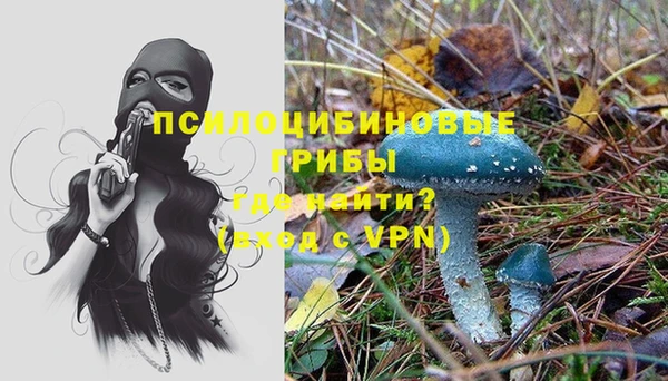 кокс Корсаков