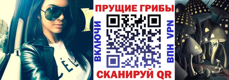 даркнет какой сайт  Цимлянск  Псилоцибиновые грибы Cubensis  как найти  